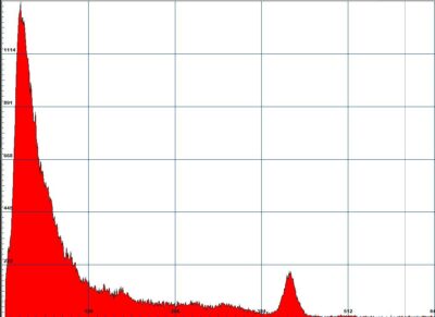 NIAGARA-Graph